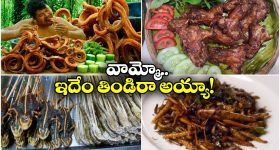 Bayya Sunny Yadav -NIA : బయ్యా సన్నీయాదవ్ అరెస్టు వెనుక అసలు నిజాలు..