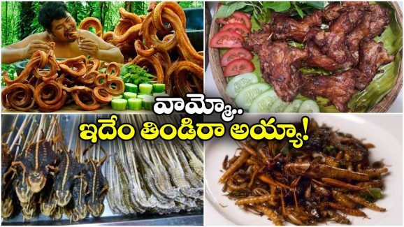 Bizarre Food Items: ప్రపంచంలో అత్యంత రోత పుట్టించే ఫుడ్స్, చూస్తే యాక్ అనాల్సిందే!