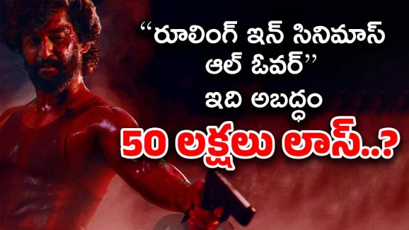 Hit 3 Movie : 100 కోట్లు కాదు… భారీ లాస్.. హిట్ 3 డిస్ట్రిబ్యూటర్ ఆవేదన