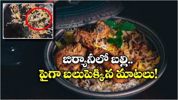 Lizard in Biryani: చికెన్ బిర్యానీలో బల్లి..  బాగానే ఫ్రై చేశాం తినేయండన్న ఓనర్.. సీన్ కట్ చేస్తే..!?