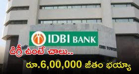 IDBI BANK Jobs: డిగ్రీ ఉంటే చాలు.. 676 ఉద్యోగాలకు అప్లై చేసుకోవచ్చు.. జీతం రూ.6,00,000
