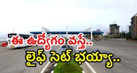 Curd For Hair Growth: పెరుగు ఇలా వాడితే.. జుట్టు రాలడం తగ్గి, ఒత్తుగా పెరుగుతుంది తెలుసా ?