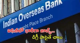 IOB Recruitment: డిగ్రీ అర్హతతో ఐఓబీలో భారీగా ఉద్యోగాలు.. నెలకు రూ.85,920 జీతం
