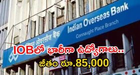 IOB Recruitment: డిగ్రీ అర్హతతో భారీగా ఉద్యోగాలు.. జీతం రూ.85,920.. దరఖాస్తుకు కొంత సమయమే మిత్రమా!