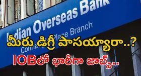 IOB Recruitment: డిగ్రీ పాసైతే చాలు.. ఐఓబీలో భారీ ఉద్యోగాలకు అప్లై చేసుకోవచ్చు.. భారీ వేతనం