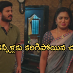 Illu Illalu Pillalu Today Episode: నర్మదా, శ్రీవల్లి మధ్య ఫైట్.. సాగర్ కు కోపం తెప్పించిందని నర్మదా.. మరోసారి షాకిచ్చిన శ్రీవల్లి..