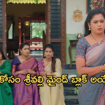 Illu Illalu Pillalu Today Episode: ధీరజ్ కు సపోర్ట్ గా ప్రేమ.. అత్తను బుట్టలో వేసుకొనేందుకు శ్రీవల్లి మాస్టర్ ప్లాన్..