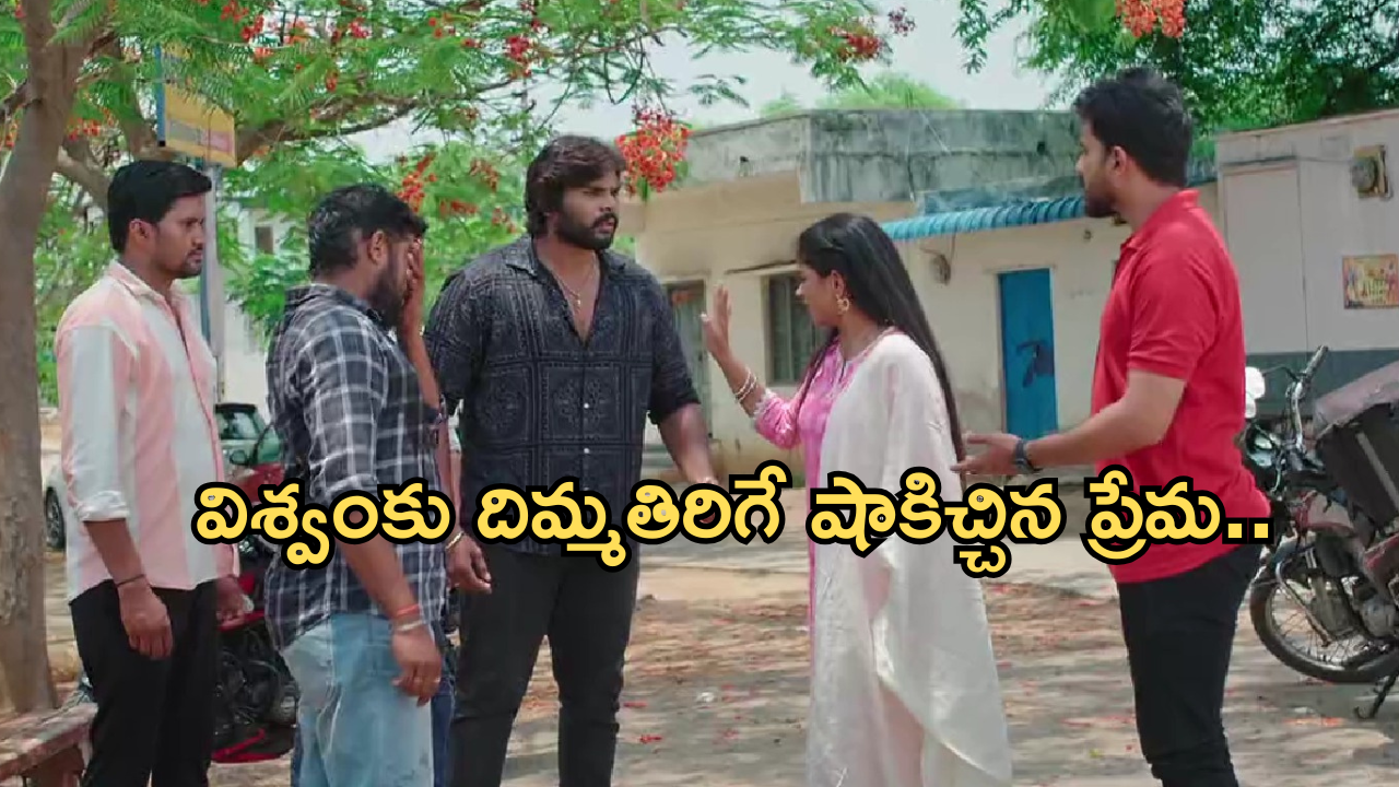 Illu Illalu Pillalu Today Episode: సాగర్ పై సీరియస్ అయిన చందు.. ధీరజ్ ను అవమానించిన విశ్వం..
