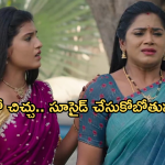 Illu Illalu Pillalu Today Episode: శ్రీవల్లికి షాకిచ్చిన చందు.. అయోమయంలో శ్రీవల్లి.. తోడికోడళ్లకు నిజం తెలుస్తుందా..?