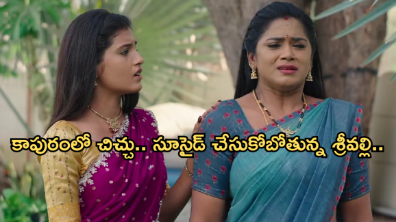 Illu Illalu Pillalu Today Episode: శ్రీవల్లికి షాకిచ్చిన చందు.. అయోమయంలో శ్రీవల్లి.. తోడికోడళ్లకు నిజం తెలుస్తుందా..?