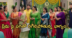 Illu Illalu Pillalu Today Episode: శ్రీవల్లికి షాకిచ్చిన ప్రేమ.. ధీరజ్ పై రామారాజు సీరియస్..