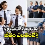 IndiGo Salaries: అమ్మో.. ఇండిగో క్యాబిన్ క్రూ సాలరీ అంతా? మీరు అస్సలు ఊహించి ఉండరు!