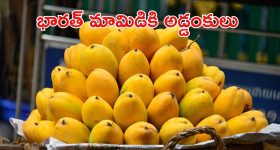 Indian Mangoes: భారత్ మామిడికి పెద్ద సమస్యే వచ్చి పడింది.. అమెరికా ఇంత పని చేసిందా?