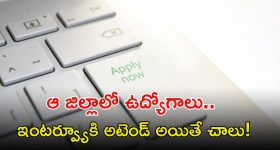 Jobs: ఆ జిల్లా మెడికల్ కాలేజీలో ఉద్యోగాలు.. ఈ అర్హత ఉంటే చాలు, జీతం రూ.1,25,000