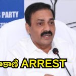 BIG BREAKING: వైసీపీ మాజీ మంత్రి కాకాణి గోవర్దన్ రెడ్డి అరెస్ట్