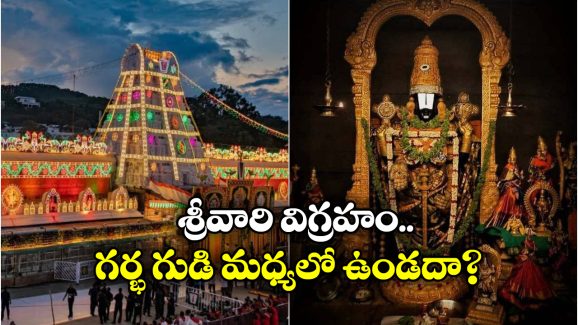 Tirumala:  తిరుమల శ్రీవారి గురించి 10 ఆసక్తికర విషయాలు, తెలిస్తే ఆశ్చర్యపోతారు!