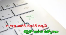 MED Recruitment: ఆ జిల్లాలో 79 ఉద్యోగాలు.. పది పాసైతే చాలు..