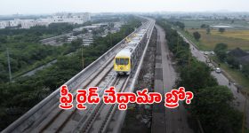 Miracle Temple: గోమాత వస్తేనే పూజలు.. గుడి మహత్యం తెలుసుకుంటే.. ఒక్క నిమిషం ఆగరు!