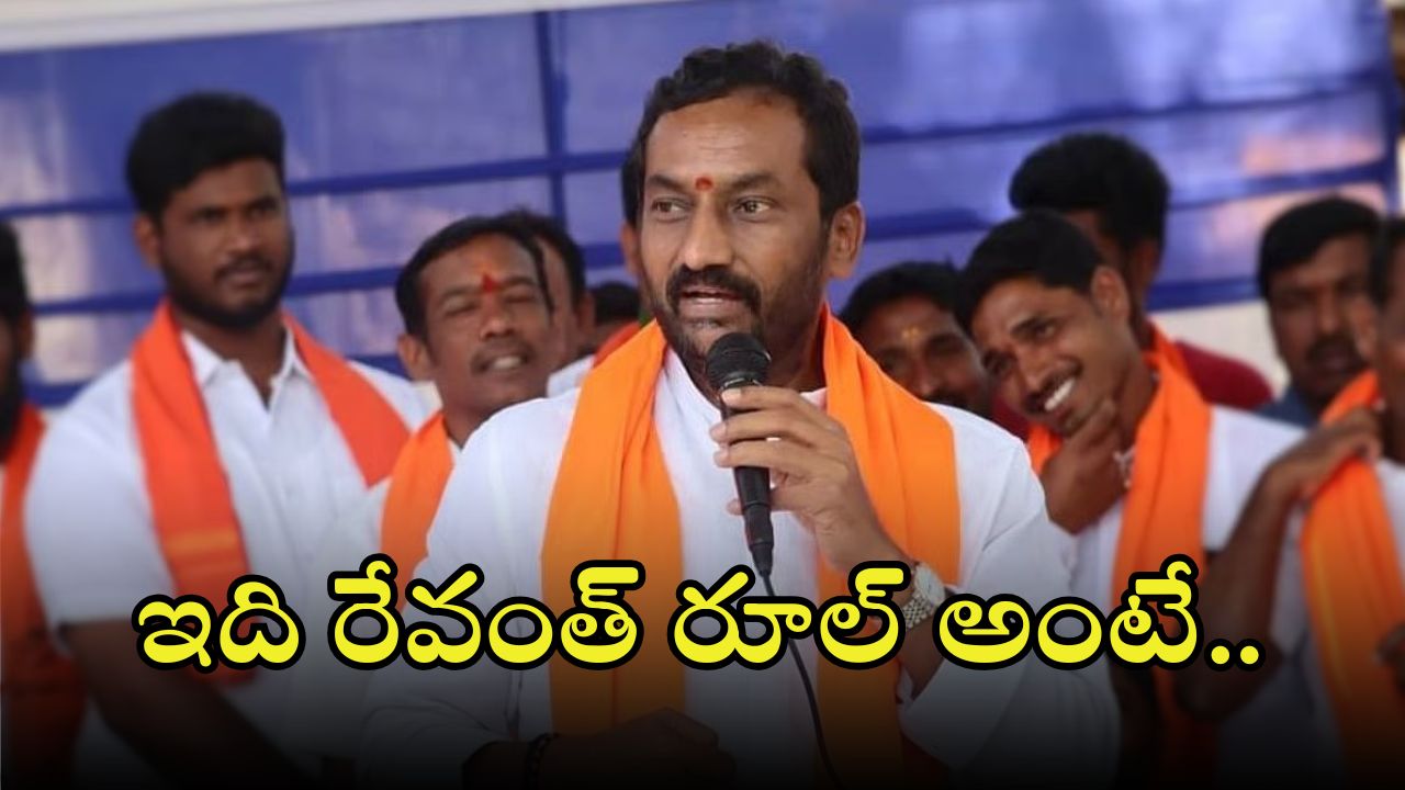 MP Raghunandan Rao: రేవంత్ సర్కార్ పాలనపై ఎంపీ రఘునందన్ ప్రశంసలు.. వీడియో వైరల్