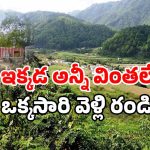 Maldakal Village: గాడిదను పూజించే గ్రామం.. తెలంగాణలో వింత ఆచారం..
