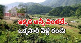 Maldakal Village: గాడిదను పూజించే గ్రామం.. తెలంగాణలో వింత ఆచారం..