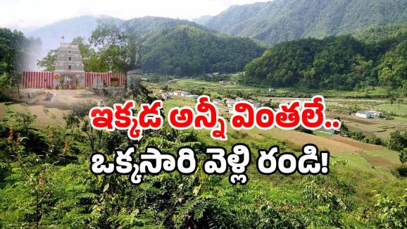 Maldakal Village: గాడిదను పూజించే గ్రామం.. తెలంగాణలో వింత ఆచారం..