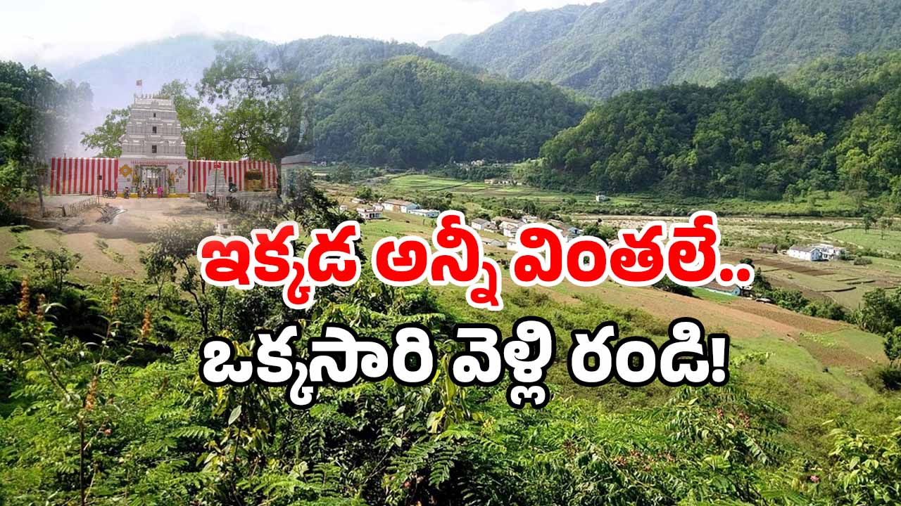 Maldakal Village: గాడిదను పూజించే గ్రామం.. తెలంగాణలో వింత ఆచారం..