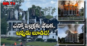 Nottoway Plantation: వెడ్డింగ్ వెన్యూకు మంటలు.. సంబరాలు చేసుకుంటున్న జనం.. ఎందుకలా?