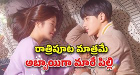 OTT Movie : అమ్మాయి కోసం బాయ్ ఫ్రెండ్ అవతారమెత్తే పిల్లి... మస్ట్ వాచ్ క్రేజీ కొరియన్ డ్రామా