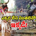 Miracle Temple: గోమాత వస్తేనే పూజలు.. గుడి మహత్యం తెలుసుకుంటే.. ఒక్క నిమిషం ఆగరు!