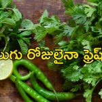 Vegetables Summer Storage: వేసవిలో త్వరగా ఎండిపోతున్న కూరగాయలు.. ఎక్కువ కాలం నిల్వ ఉండాలంటే ఈ టిప్స్ పాటించండి