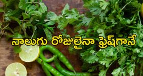 Vegetables Summer Storage: వేసవిలో త్వరగా ఎండిపోతున్న కూరగాయలు.. ఎక్కువ కాలం నిల్వ ఉండాలంటే ఈ టిప్స్ పాటించండి