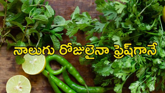 Vegetables Summer Storage: వేసవిలో త్వరగా ఎండిపోతున్న కూరగాయలు.. ఎక్కువ కాలం నిల్వ ఉండాలంటే ఈ టిప్స్ పాటించండి