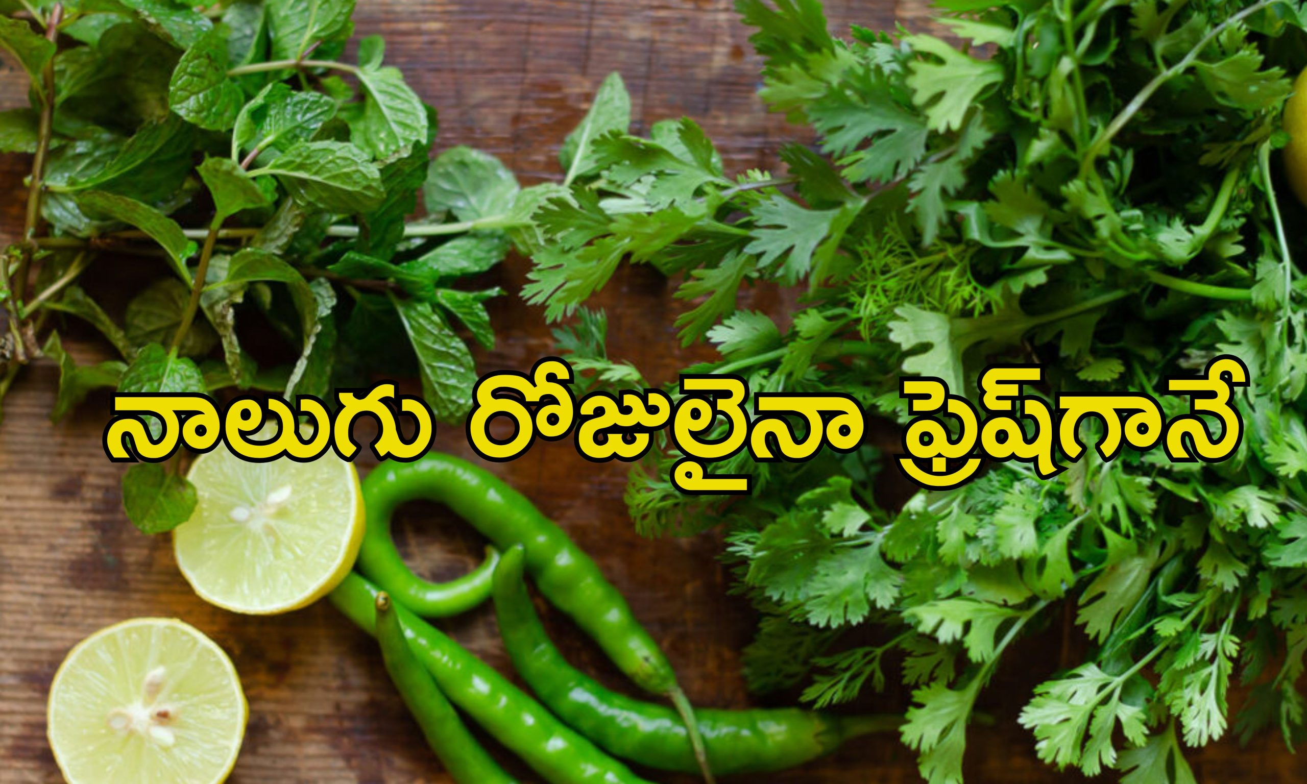 Vegetables Summer Storage: వేసవిలో త్వరగా ఎండిపోతున్న కూరగాయలు.. ఎక్కువ కాలం నిల్వ ఉండాలంటే ఈ టిప్స్ పాటించండి