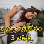 Fast Sleep Techniques: రాత్రి నిద్రపట్టడం లేదా? కమ్మని నిద్ర కోసం ఈ చిట్కాలు పాటించండి