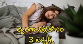Fast Sleep Techniques: రాత్రి నిద్రపట్టడం లేదా? కమ్మని నిద్ర కోసం ఈ చిట్కాలు పాటించండి