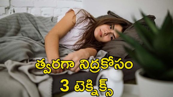 Fast Sleep Techniques: రాత్రి నిద్రపట్టడం లేదా? కమ్మని నిద్ర కోసం ఈ చిట్కాలు పాటించండి