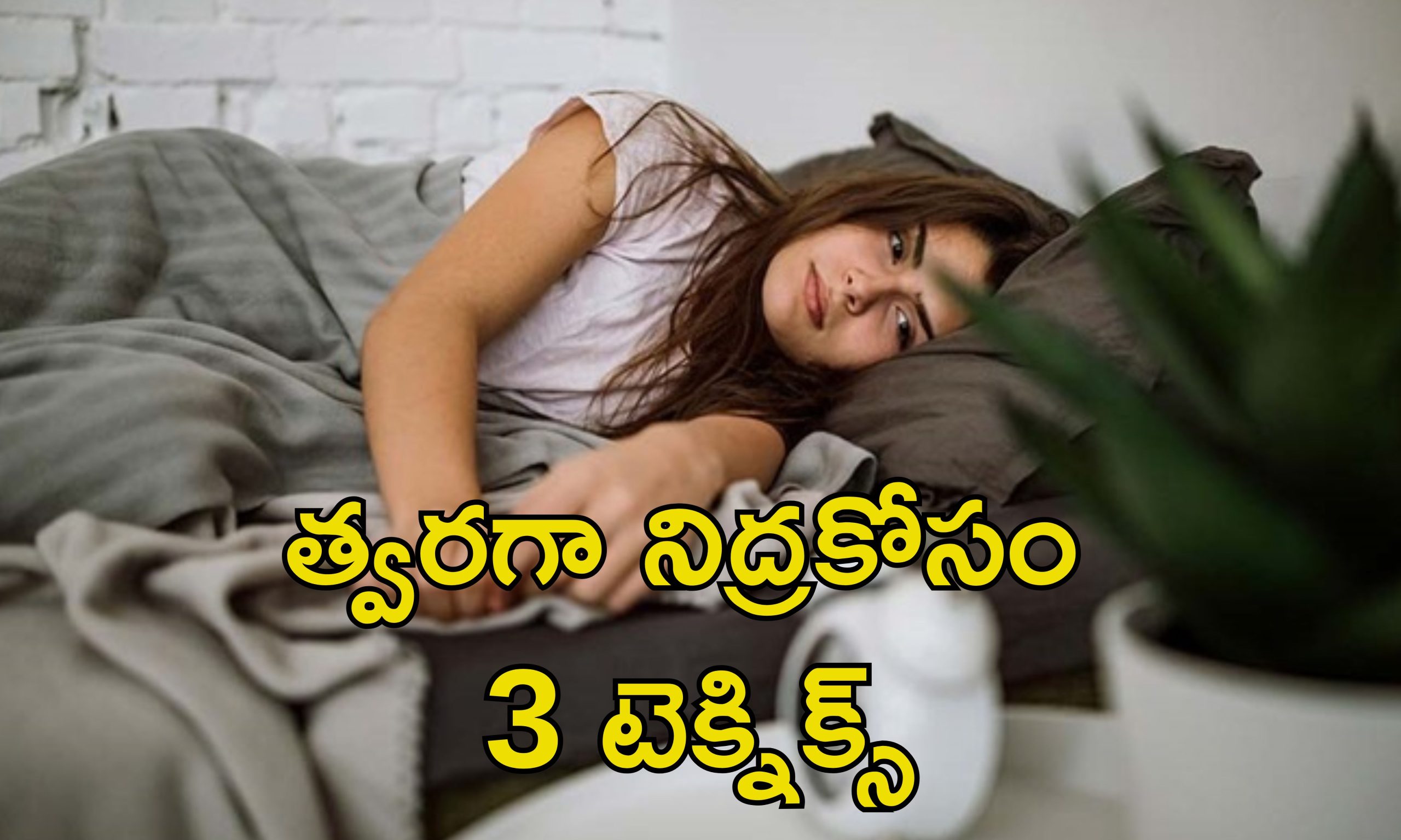 Fast Sleep Techniques: రాత్రి నిద్రపట్టడం లేదా? కమ్మని నిద్ర కోసం ఈ చిట్కాలు పాటించండి