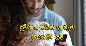 Telangana Govt: తెలంగాణ ప్రభుత్వం కొత్త పథకం.. రైతులకు పండుగ, సీఎం రేవంత్ శ్రీకారం