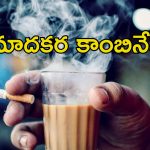 Cigarette Tea Health Risk: సిగరెట్‌తో పాటు టీ తాగుతున్నారా?.. ఆరోగ్యానికి చాలా హానికరం జాగ్రత్త.. ఎందుకంటే?