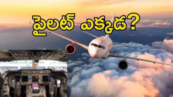 Flight With No Pilot: పైలట్ లేకుండా గాల్లో విమానం.. ప్రమాదంలో 200 ప్రయాణికుల ప్రాణాలు