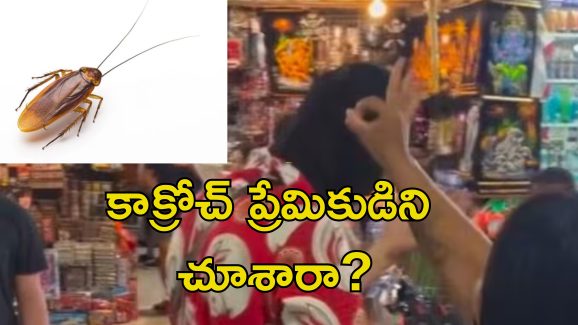 Pet Cockroach Video: యువకుడి తలపై పెద్ద కాక్రోచ్.. తొలగించడానికి వెళ్లిన యువతికి షాక్.. అది సామాన్యమైనది కాదు