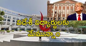 Harvard University Hongkong: ఎటువంటి షరతులు లేవు.. ట్రంప్ ఆంక్షల వేళ హార్వర్డ్ విద్యార్థులకు హాంగ్ కాంగ్ ఆహ్వానం