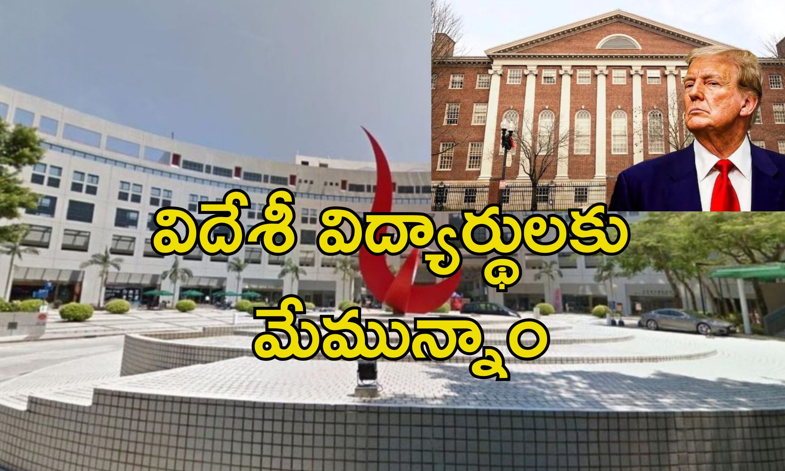 Harvard University Hongkong: ఎటువంటి షరతులు లేవు.. ట్రంప్ ఆంక్షల వేళ హార్వర్డ్ విద్యార్థులకు హాంగ్ కాంగ్ ఆహ్వానం