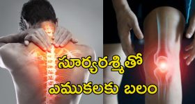 Sunlight Vitamin D: నిద్రలో ఉండగా విరిగిపోయిన మహిళ ఎముకలు.. విటమిన్ డి లోపం ఉంటే అంతే..