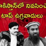 Most Wanted Terrorists: పాకిస్తాన్‌లో దర్జాగా తిరుగుతున్న 7 మోస్ట్ వాంటెడ్ ఉగ్రవాదులు.. ఇక వీరికి మూడినట్లే..