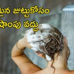 Hair Wash Without Shampoo: షాంపూ లేకుండా హెయిర్ వాష్.. వీటితో తలస్నానం చేస్తే మెరిసిపోయే జుట్టు మీ సొంతం