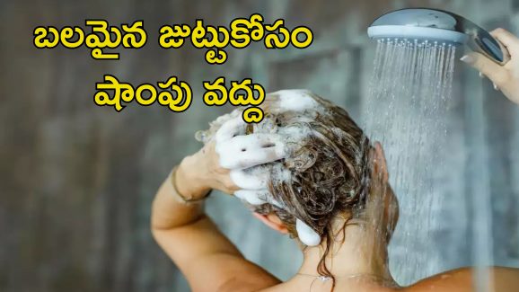 Hair Wash Without Shampoo: షాంపూ లేకుండా హెయిర్ వాష్.. వీటితో తలస్నానం చేస్తే మెరిసిపోయే జుట్టు మీ సొంతం