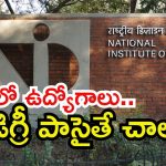 NED Recruitment: డిగ్రీ అర్హతతో ఏపీలో ఉద్యోగాలు.. లాస్ట్ డేట్ ఎప్పుడంటే?