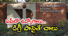 NED Recruitment: డిగ్రీ అర్హతతో ఏపీలో ఉద్యోగాలు.. లాస్ట్ డేట్ ఎప్పుడంటే?